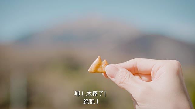 日產(chǎn)汽車(chē)與柿種餅干的故事！